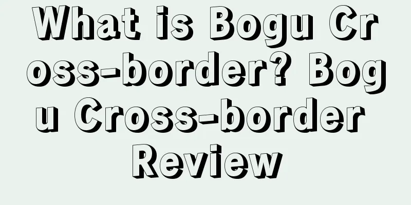 What is Bogu Cross-border? Bogu Cross-border Review
