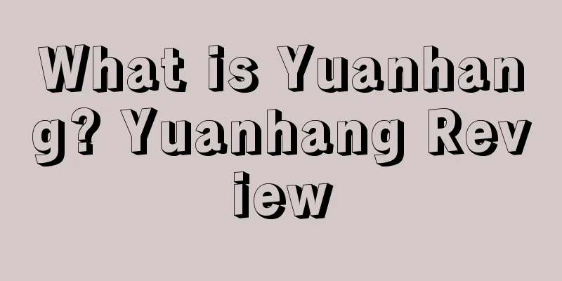 What is Yuanhang? Yuanhang Review