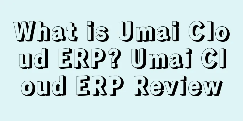 What is Umai Cloud ERP? Umai Cloud ERP Review