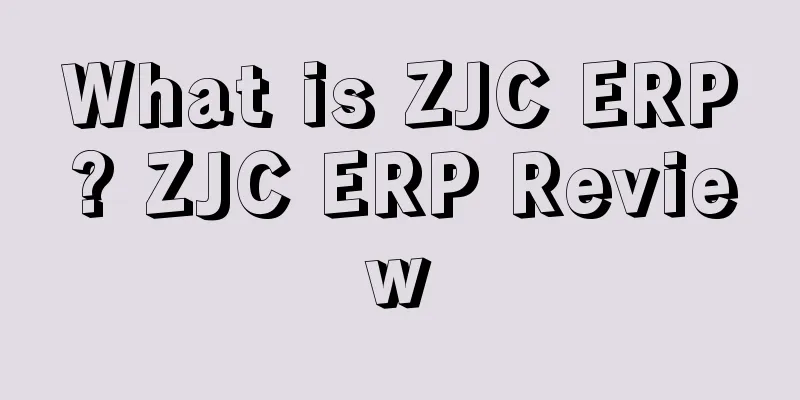 What is ZJC ERP? ZJC ERP Review