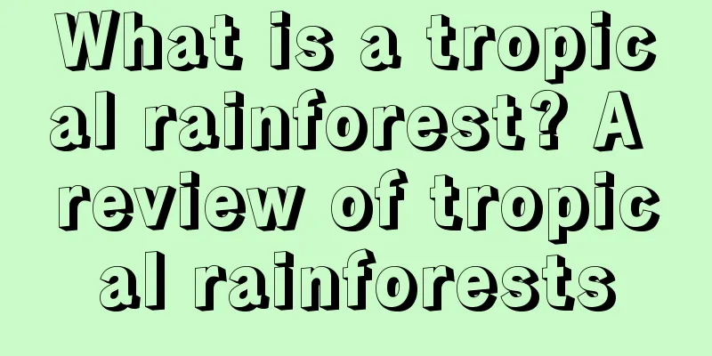 What is a tropical rainforest? A review of tropical rainforests