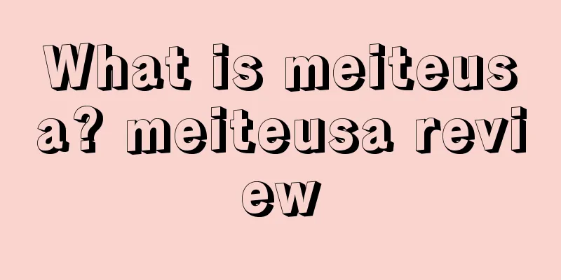 What is meiteusa? meiteusa review