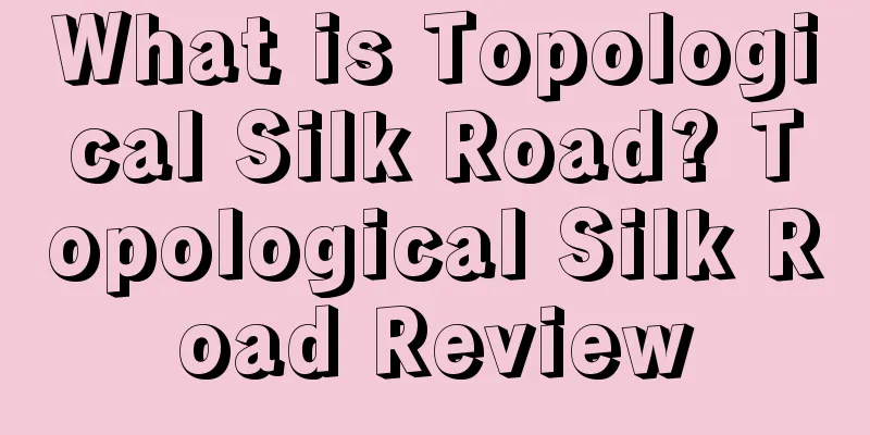 What is Topological Silk Road? Topological Silk Road Review