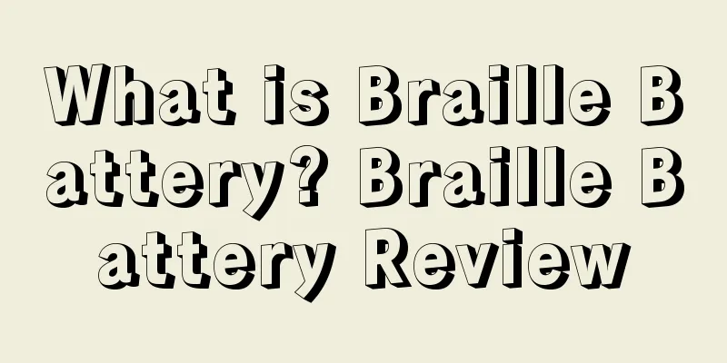 What is Braille Battery? Braille Battery Review