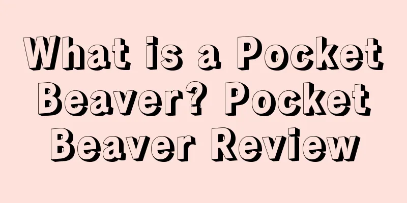 What is a Pocket Beaver? Pocket Beaver Review