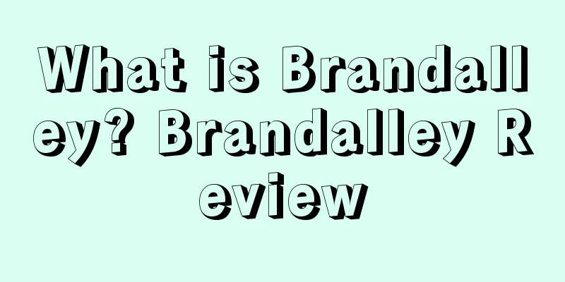 What is Brandalley? Brandalley Review