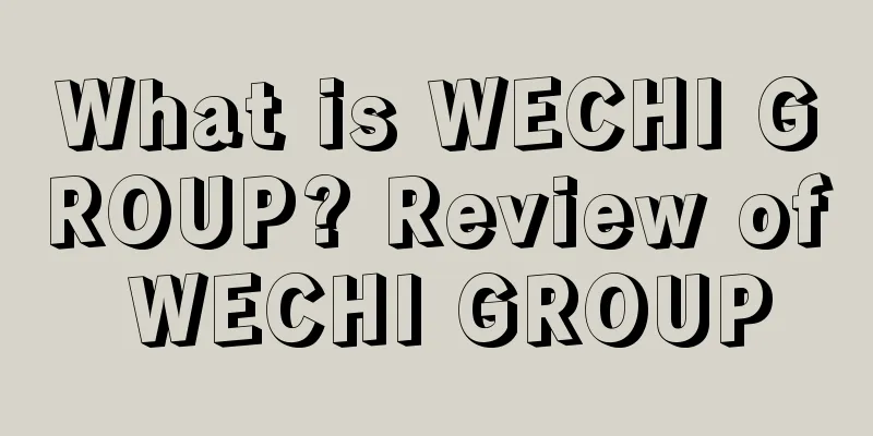 What is WECHI GROUP? Review of WECHI GROUP