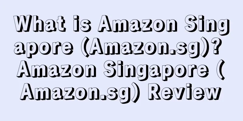 What is Amazon Singapore (Amazon.sg)? Amazon Singapore (Amazon.sg) Review