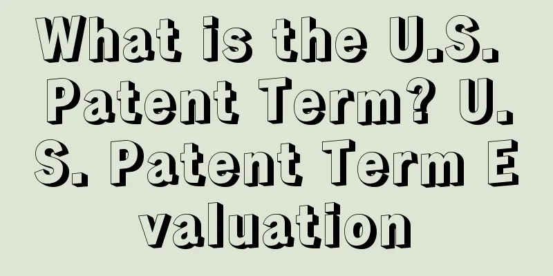 What is the U.S. Patent Term? U.S. Patent Term Evaluation