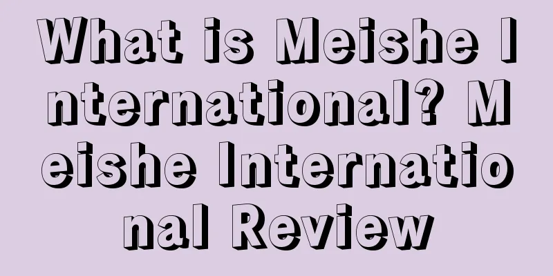 What is Meishe International? Meishe International Review