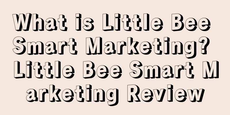 What is Little Bee Smart Marketing? Little Bee Smart Marketing Review