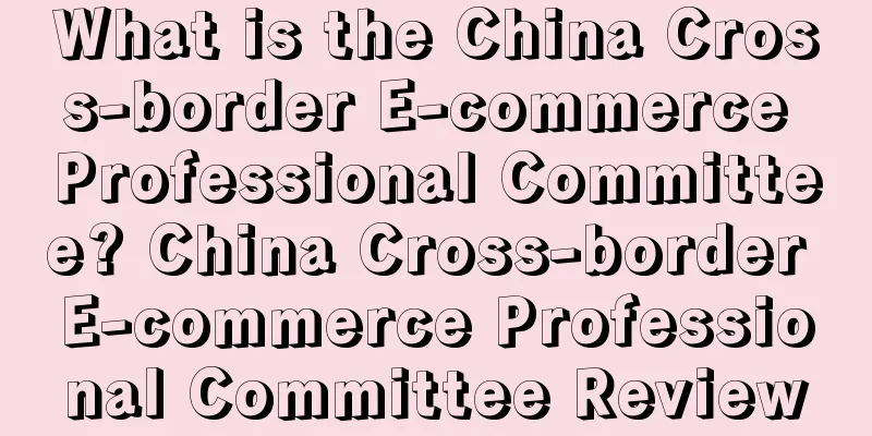 What is the China Cross-border E-commerce Professional Committee? China Cross-border E-commerce Professional Committee Review
