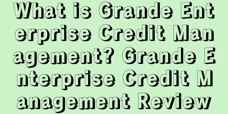 What is Grande Enterprise Credit Management? Grande Enterprise Credit Management Review