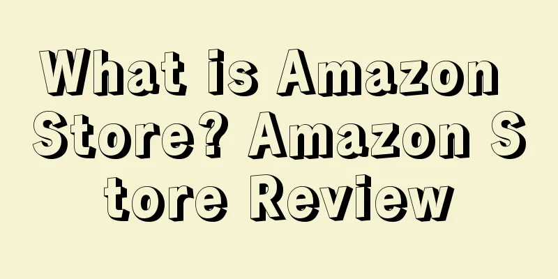What is Amazon Store? Amazon Store Review