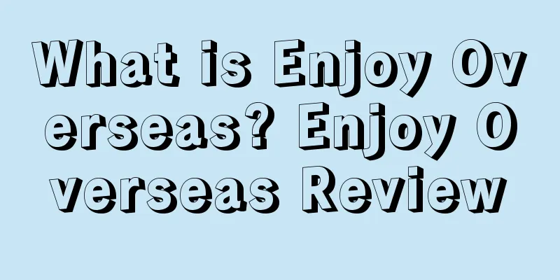 What is Enjoy Overseas? Enjoy Overseas Review