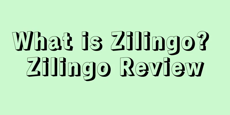 What is Zilingo? Zilingo Review