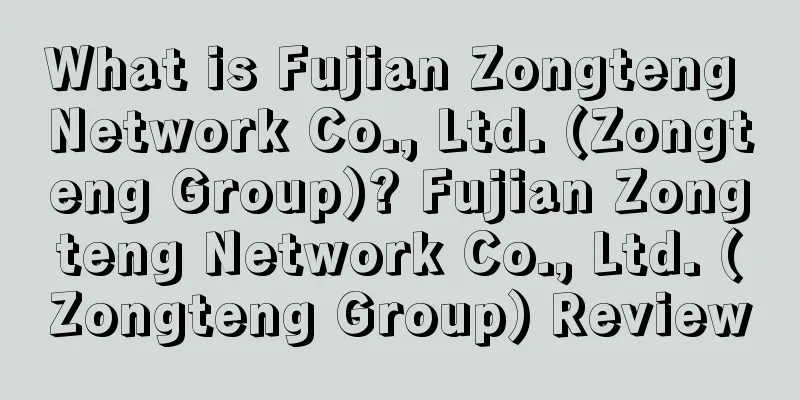 What is Fujian Zongteng Network Co., Ltd. (Zongteng Group)? Fujian Zongteng Network Co., Ltd. (Zongteng Group) Review