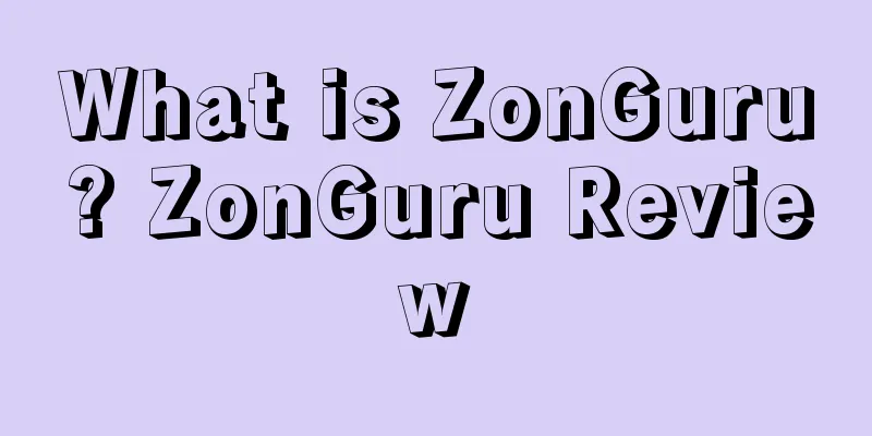 What is ZonGuru? ZonGuru Review