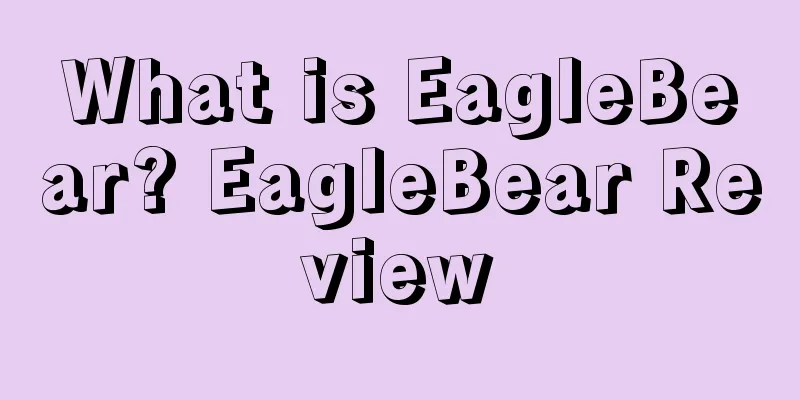 What is EagleBear? EagleBear Review