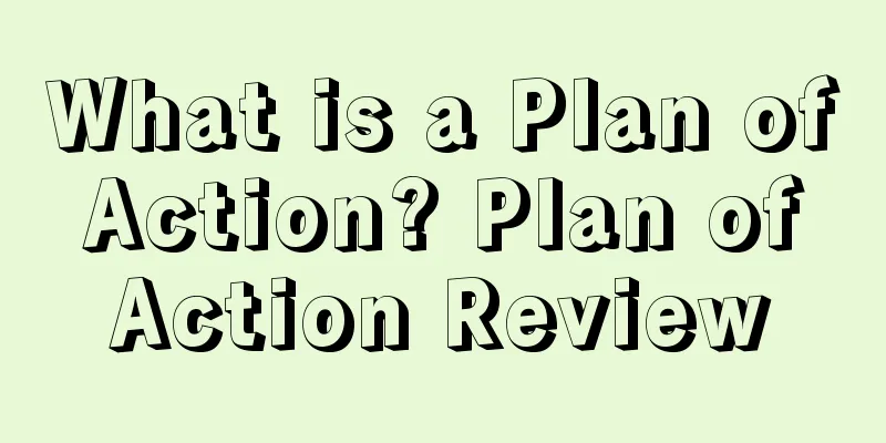 What is a Plan of Action? Plan of Action Review