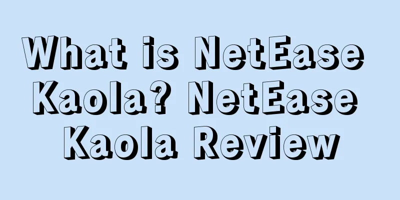 What is NetEase Kaola? NetEase Kaola Review