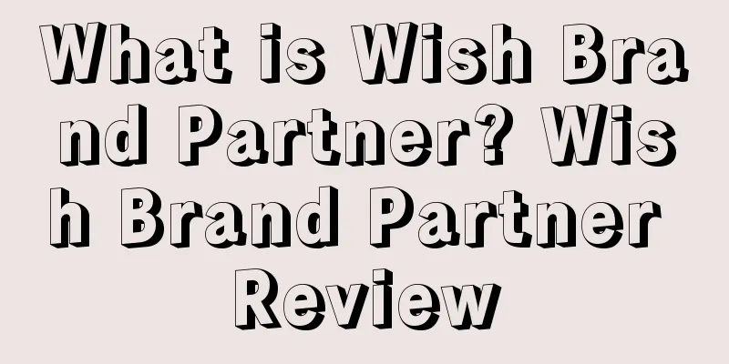 What is Wish Brand Partner? Wish Brand Partner Review
