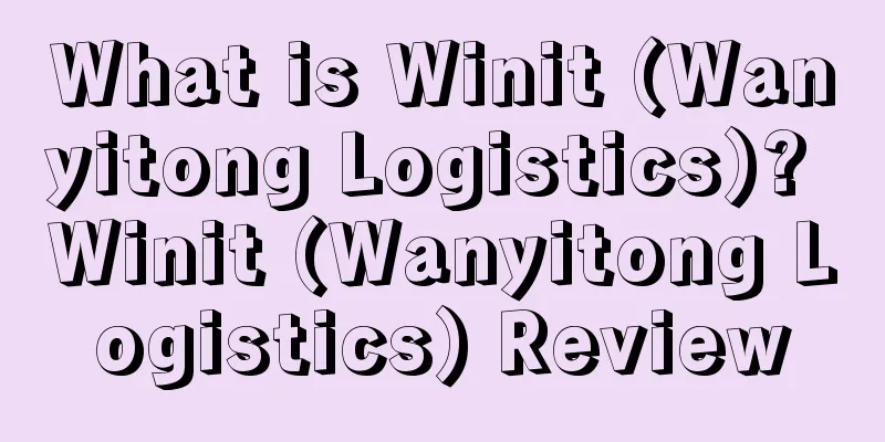 What is Winit (Wanyitong Logistics)? Winit (Wanyitong Logistics) Review