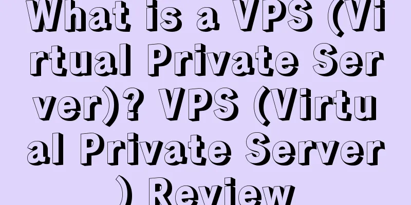 What is a VPS (Virtual Private Server)? VPS (Virtual Private Server) Review