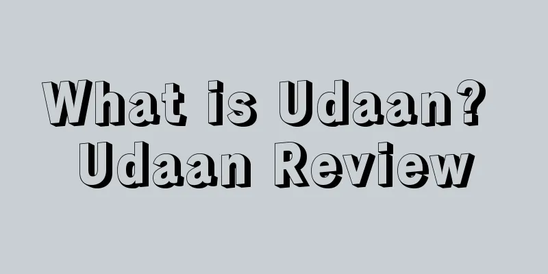 What is Udaan? Udaan Review