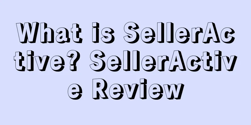 What is SellerActive? SellerActive Review