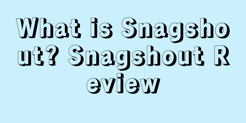 What is Snagshout? Snagshout Review