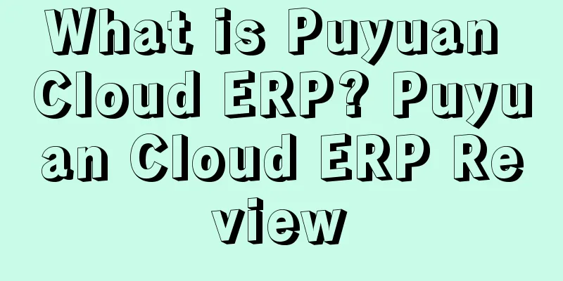 What is Puyuan Cloud ERP? Puyuan Cloud ERP Review