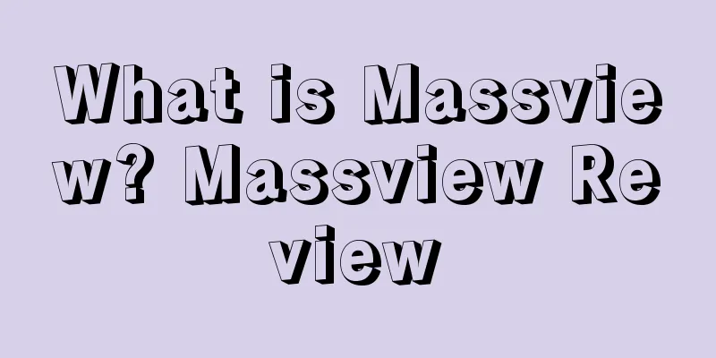 What is Massview? Massview Review