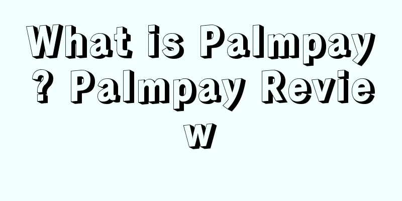 What is Palmpay? Palmpay Review