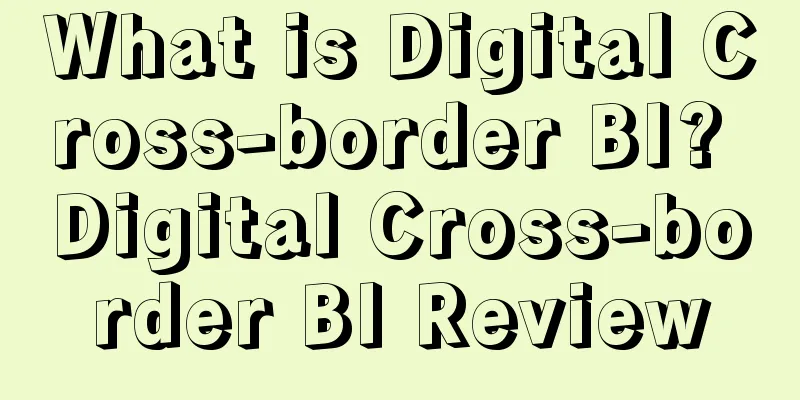 What is Digital Cross-border BI? Digital Cross-border BI Review