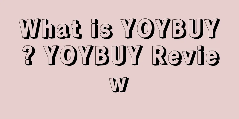 What is YOYBUY? YOYBUY Review