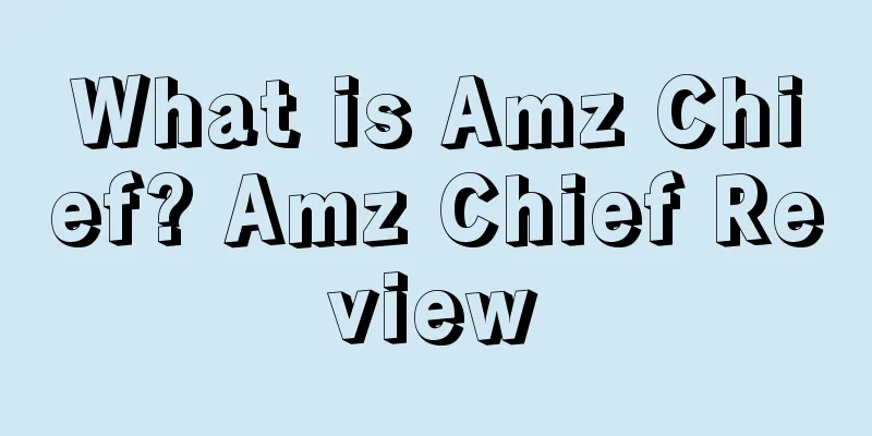 What is Amz Chief? Amz Chief Review