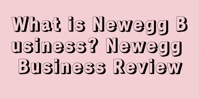 What is Newegg Business? Newegg Business Review