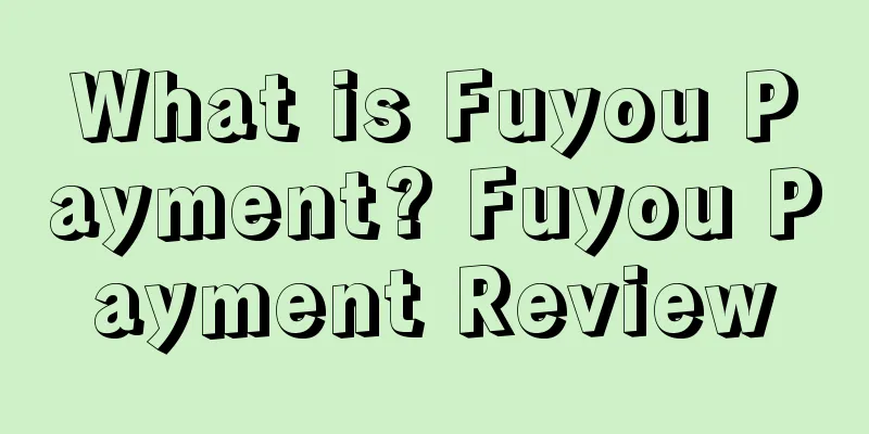 What is Fuyou Payment? Fuyou Payment Review