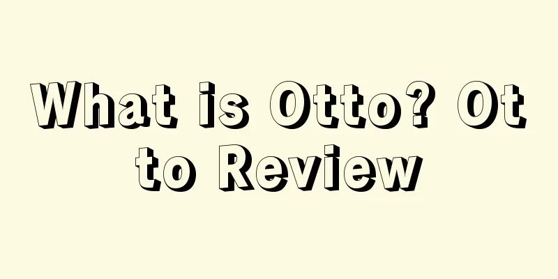 What is Otto? Otto Review