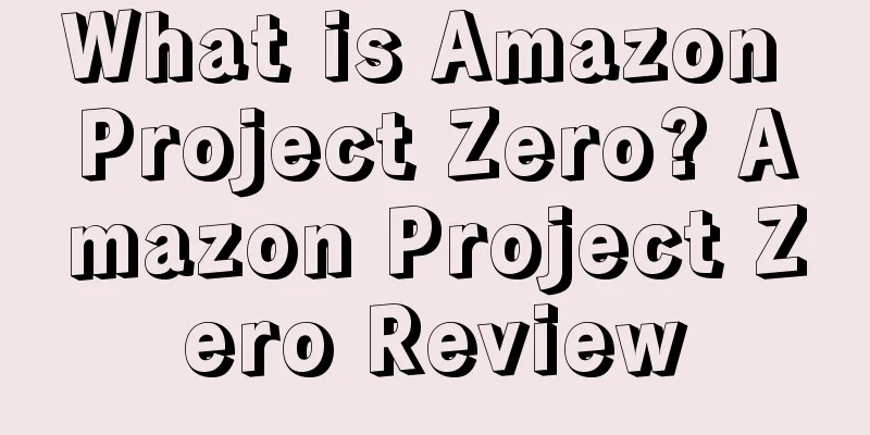 What is Amazon Project Zero? Amazon Project Zero Review