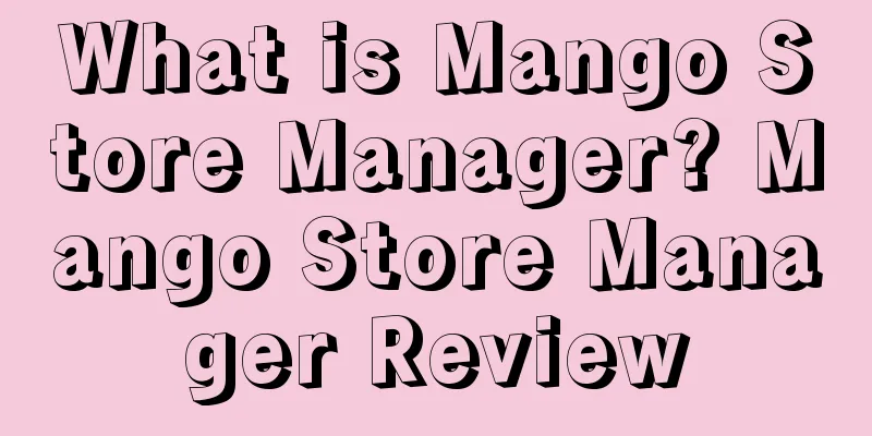 What is Mango Store Manager? Mango Store Manager Review