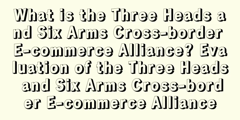 What is the Three Heads and Six Arms Cross-border E-commerce Alliance? Evaluation of the Three Heads and Six Arms Cross-border E-commerce Alliance