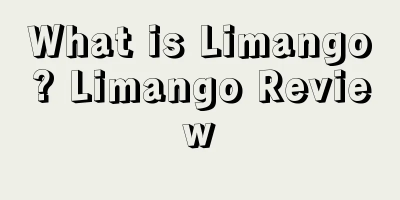 What is Limango? Limango Review