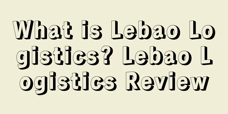 What is Lebao Logistics? Lebao Logistics Review