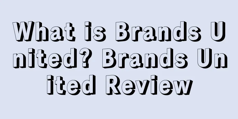 What is Brands United? Brands United Review