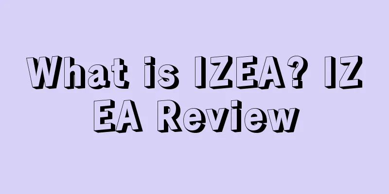 What is IZEA? IZEA Review