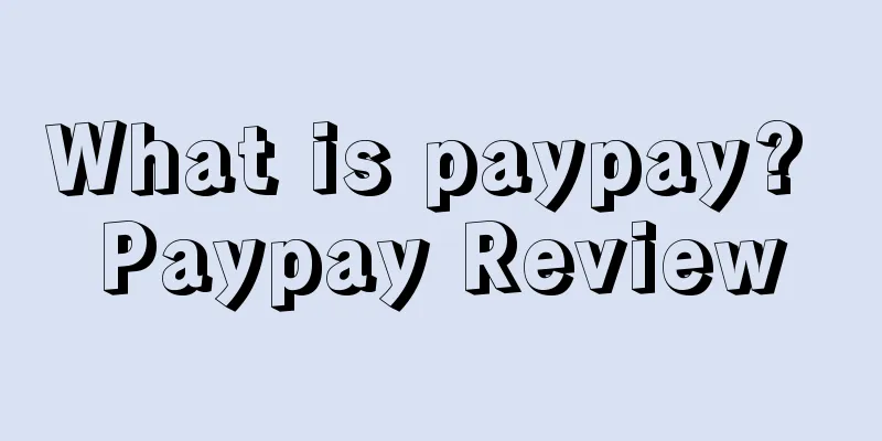 What is paypay? Paypay Review