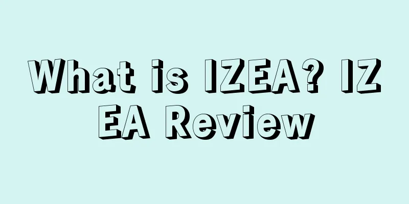 What is IZEA? IZEA Review