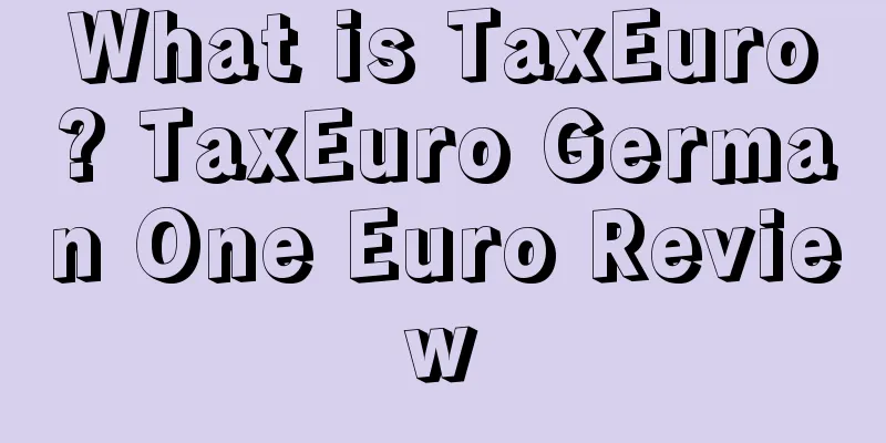 What is TaxEuro? TaxEuro German One Euro Review